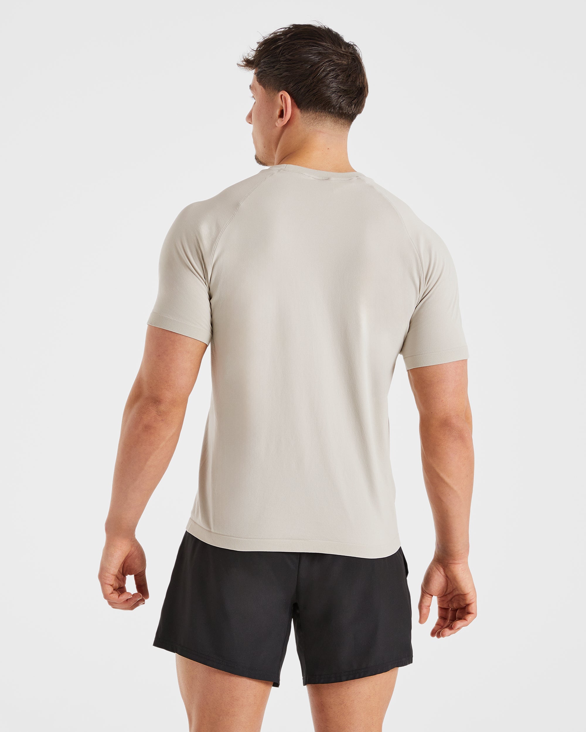 Ascend Seamless T Shirt - Ice Grey