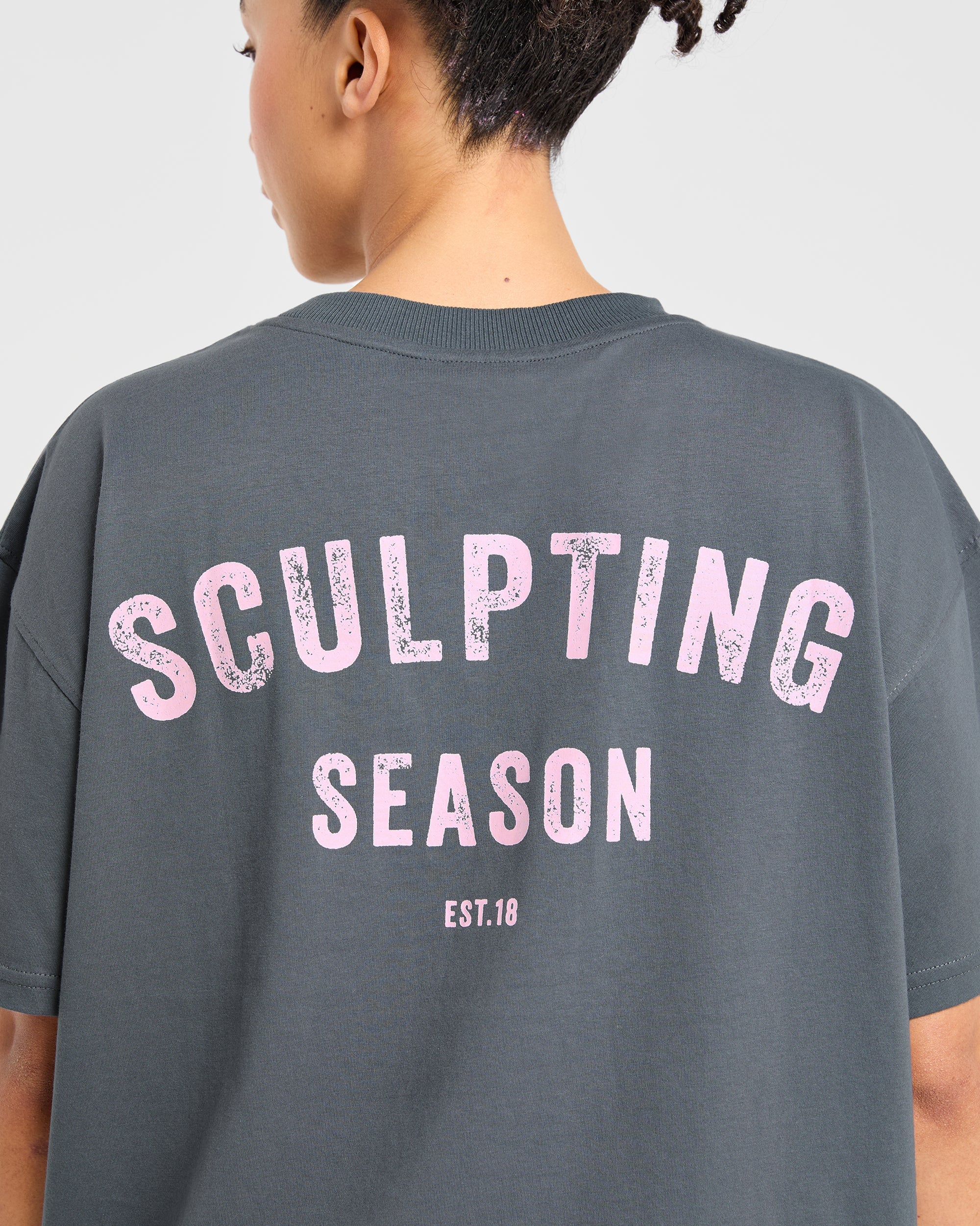 Sculpting Season Oversized T Shirt - Grey/Pink