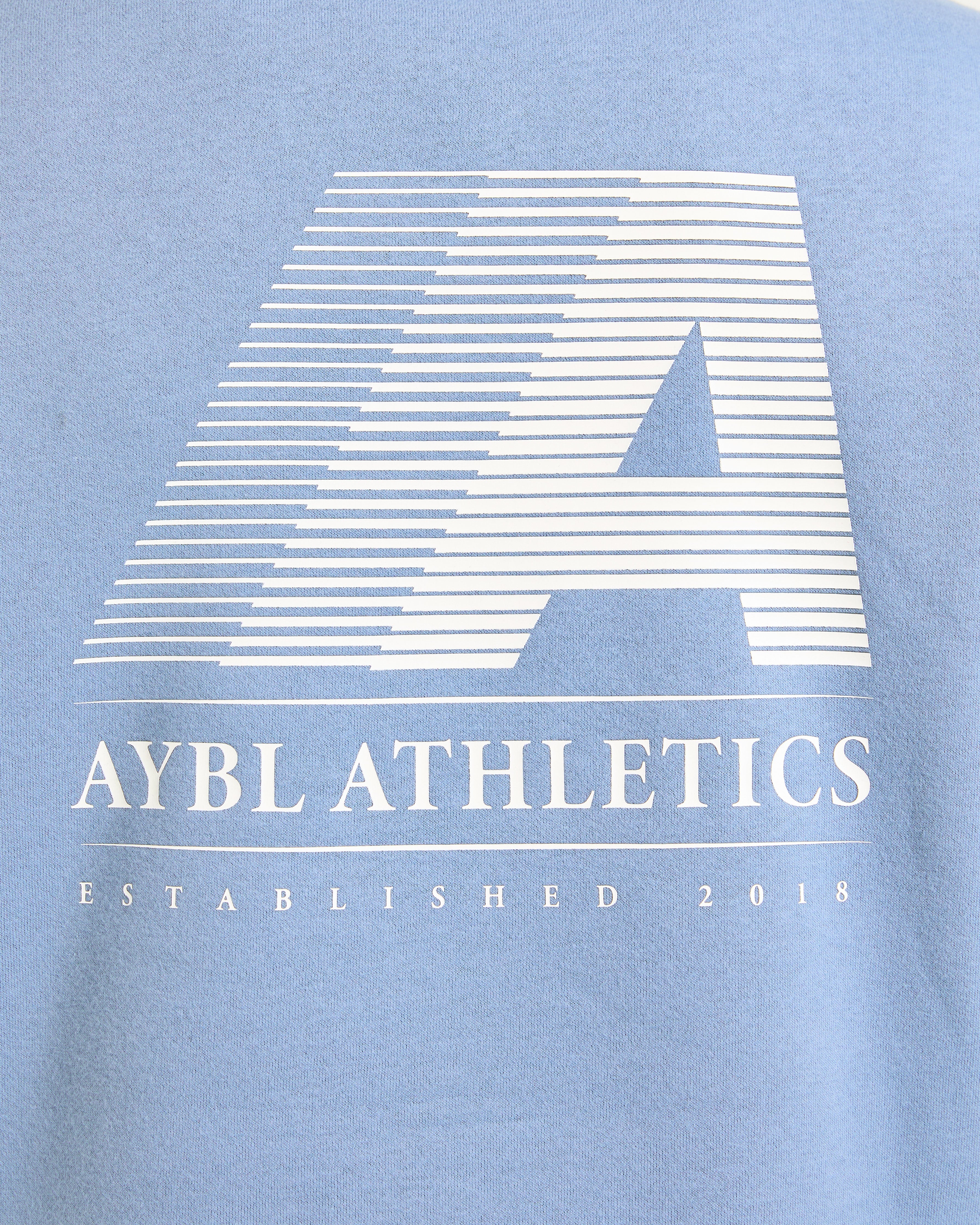 Retro Athletics Oversized 1/4 Zip Pullover - Vintage Blue